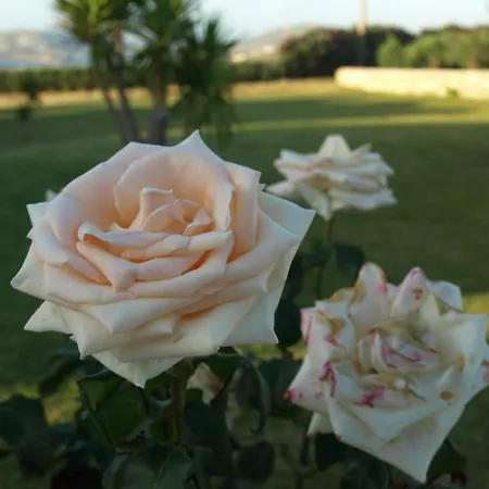 Apart-hotel Fragoulis Village