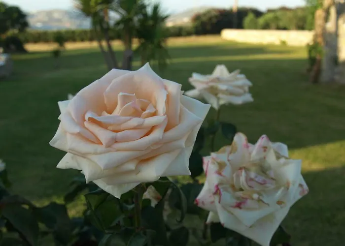 מלון דירות Fragoulis Village